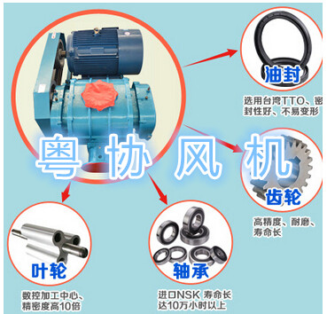 羅茨風(fēng)機