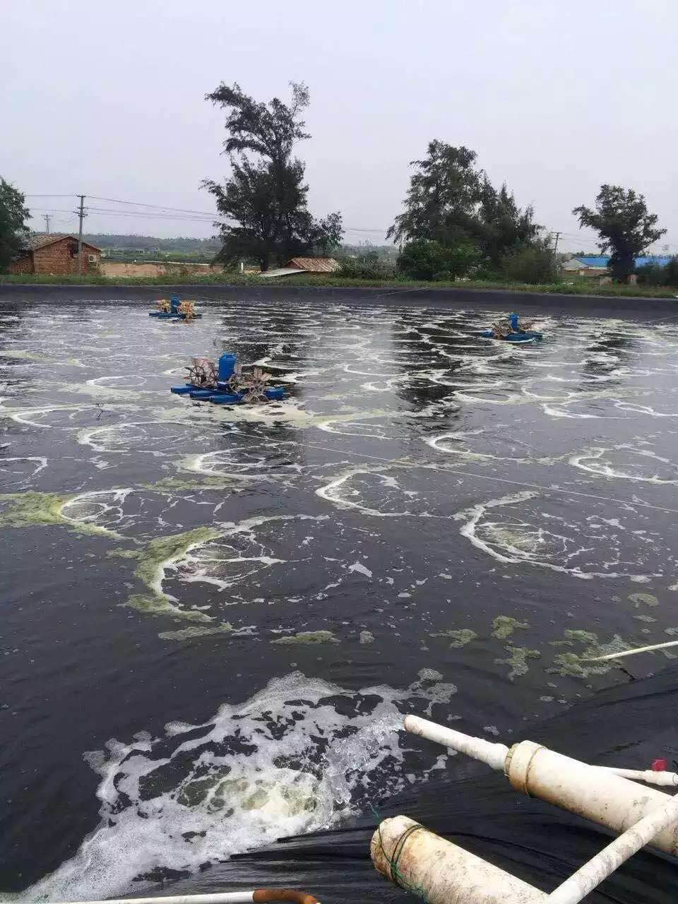 羅茨鼓風(fēng)機(jī)多少錢