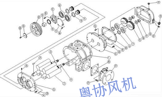 惠州羅茨風(fēng)機(jī)生產(chǎn)廠家